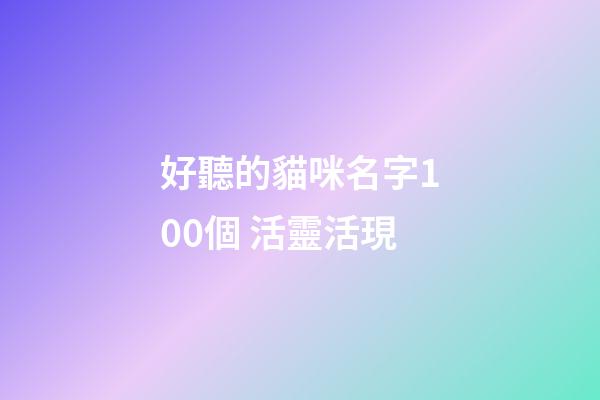 好聽的貓咪名字100個 活靈活現